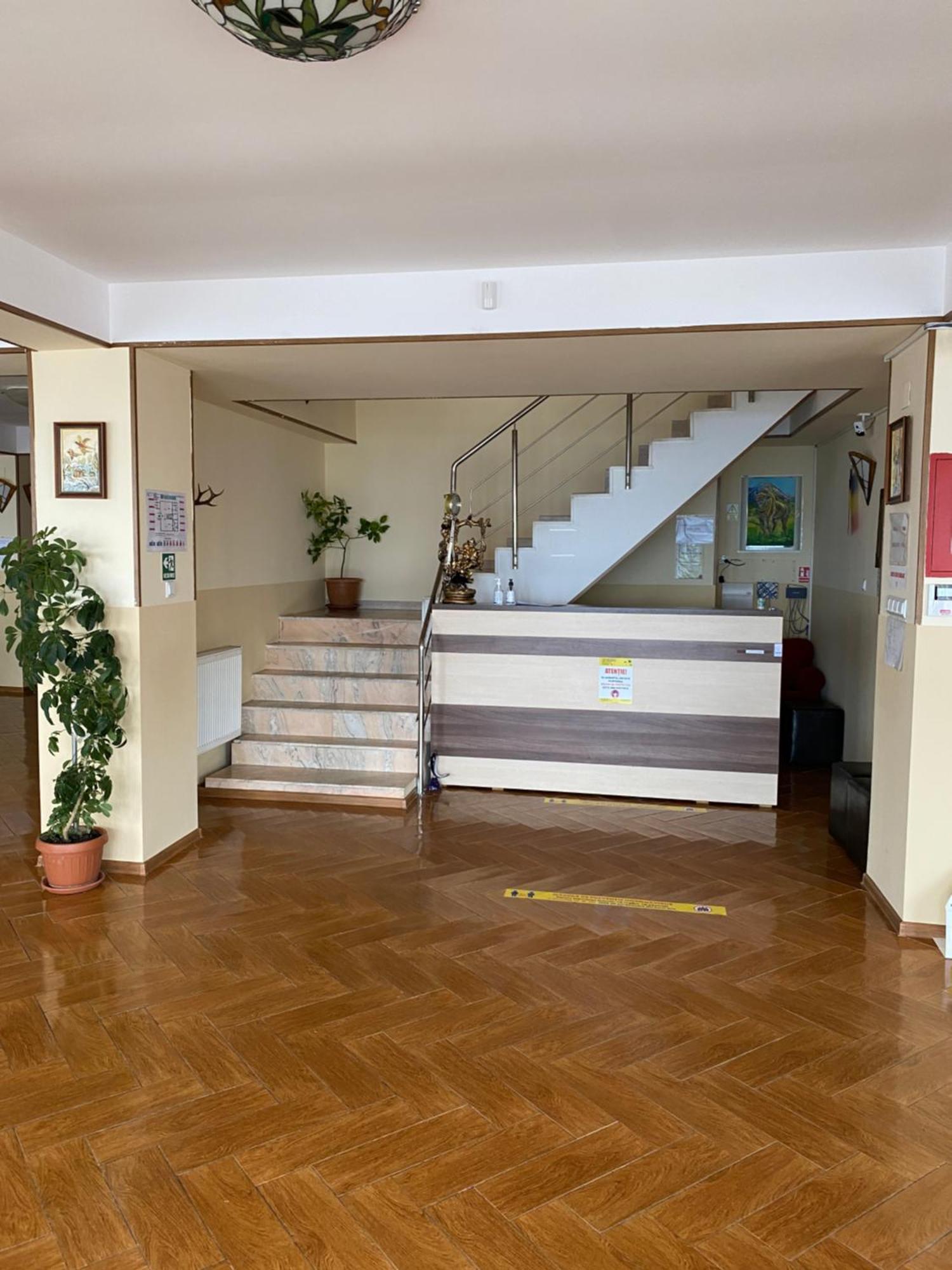 Pensiunea Zimbru Ranca Ngoại thất bức ảnh